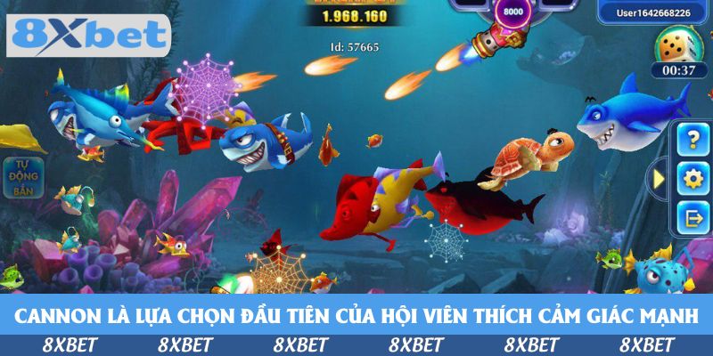 Cannon là lựa chọn đầu tiên của hội viên thích cảm giác mạnh